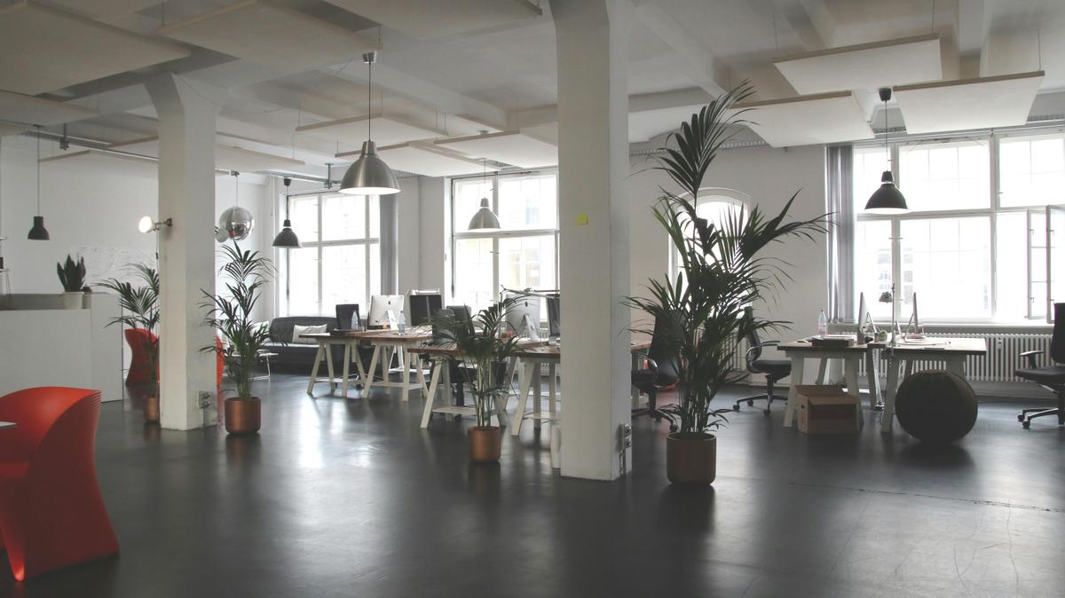Tech Startup Office - 1